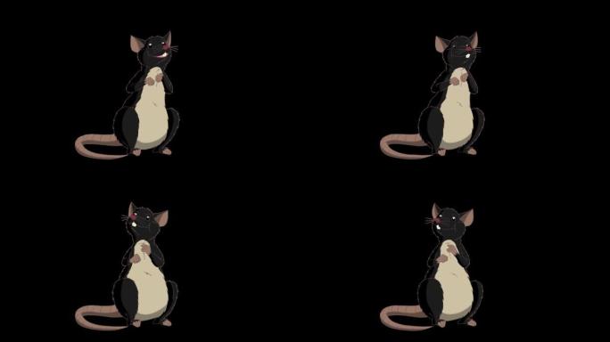 黑老鼠坐着说话动画阿尔法哑光