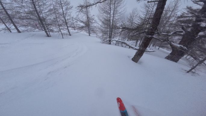 野雪小树林双板滑雪跟拍4K