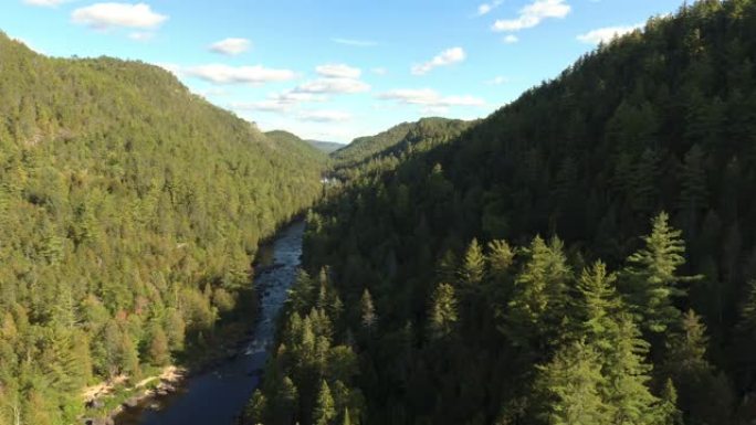 无人机在飞行中看到加拿大魁北克美丽的松树林谷