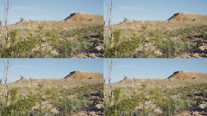 早春时亚利桑那州沙漠中的桌山。焦点从前向后转移。
