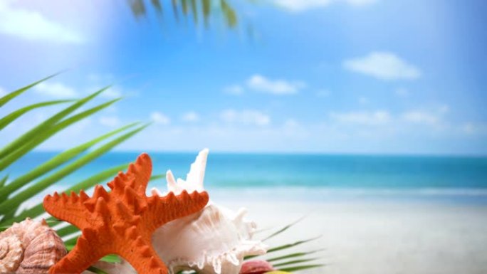 夏季概念海星与贝壳和模糊的海滩自然背景。