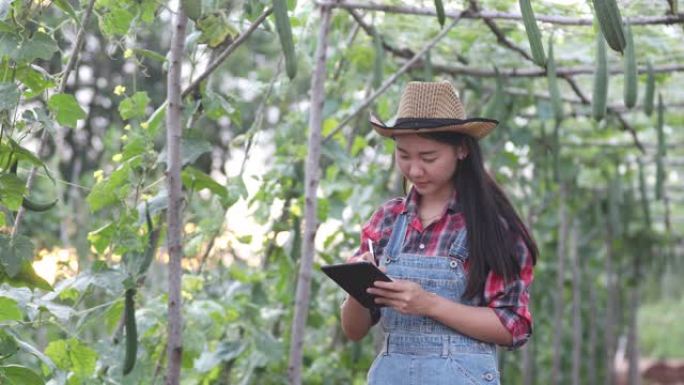 亚洲妇女农学家和农民在农业和有机蔬菜领域使用技术检查