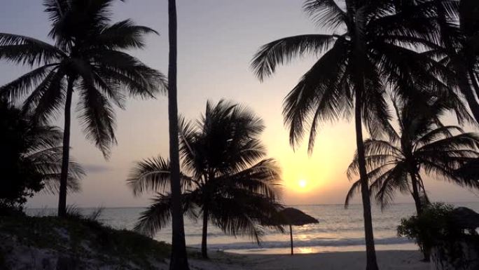 海滩上的日落-坦桑尼亚桑给巴尔