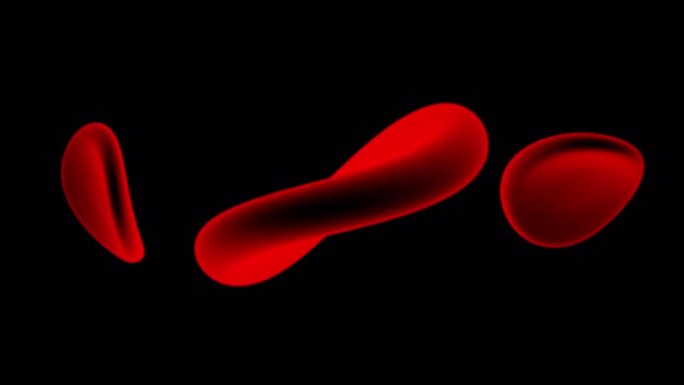 黑色背景下旋转的红细胞动画