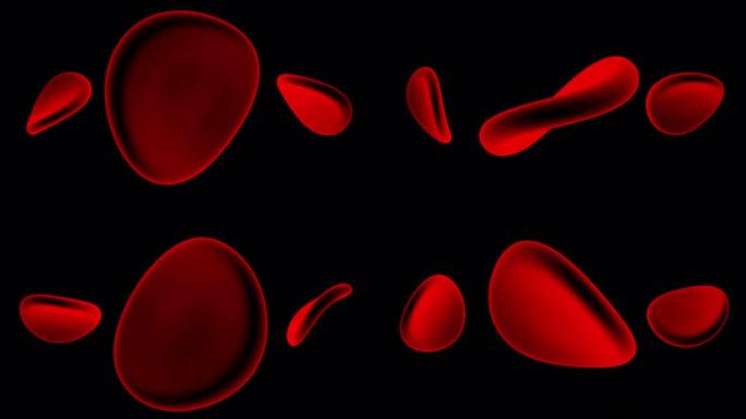 黑色背景下旋转的红细胞动画