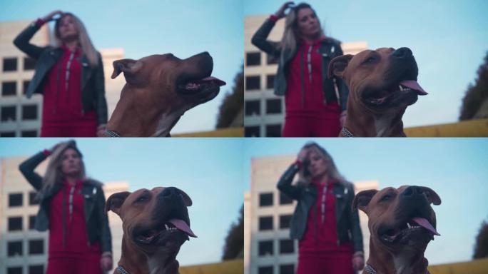 在一只美国斯塔福德郡犬犬和他的情妇的框架中，一个年轻女孩。背景是一座不值得的废弃建筑。