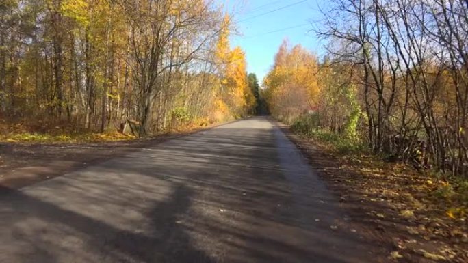 秋天的森林。秋天开车在路上旅行。4K。