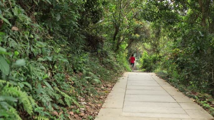 在热带公园的小径上奔跑的女跑步者