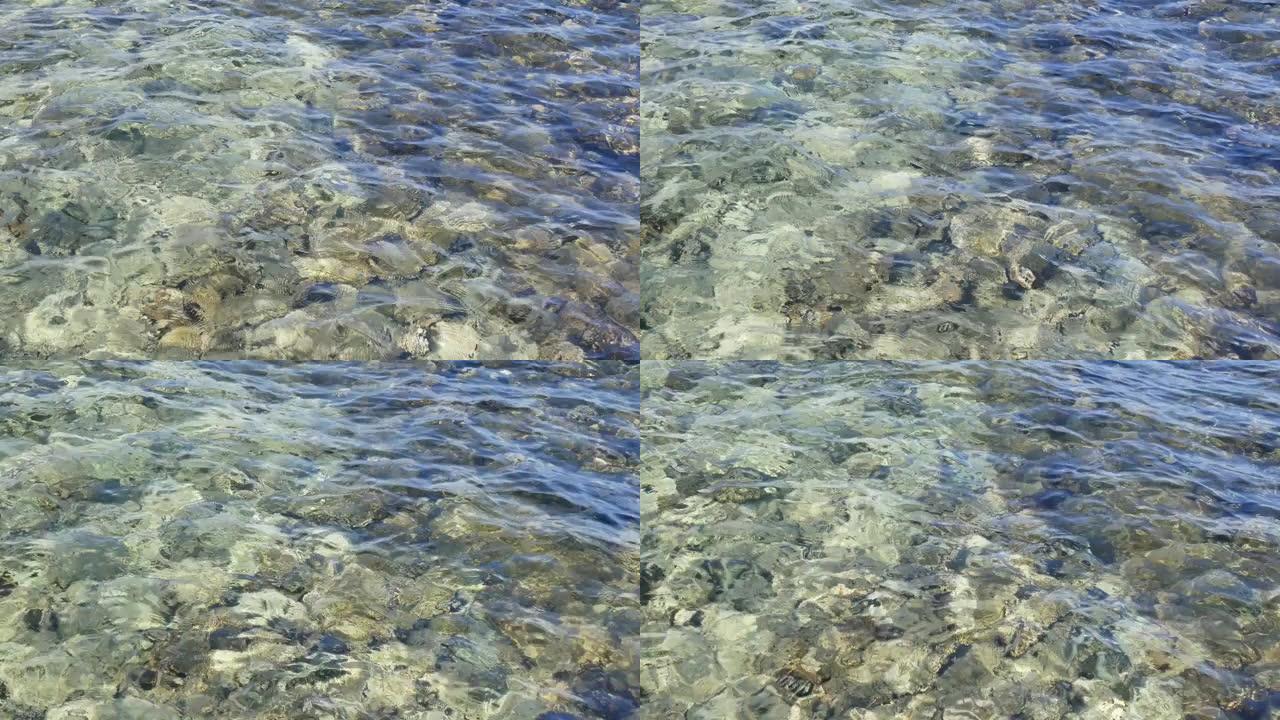 海滩上的海水或海洋与石化的珊瑚石