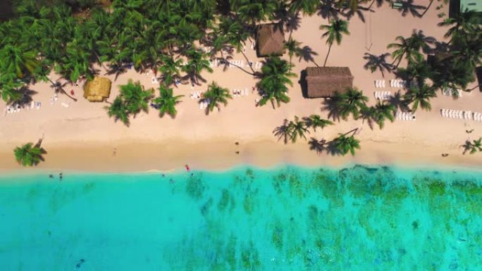 索纳岛热带棕榈树海滩和加勒比海的鸟瞰图