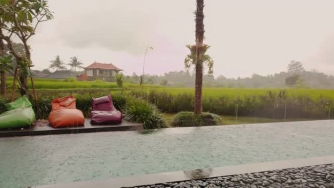 印度尼西亚稻田附近的私人泳池别墅