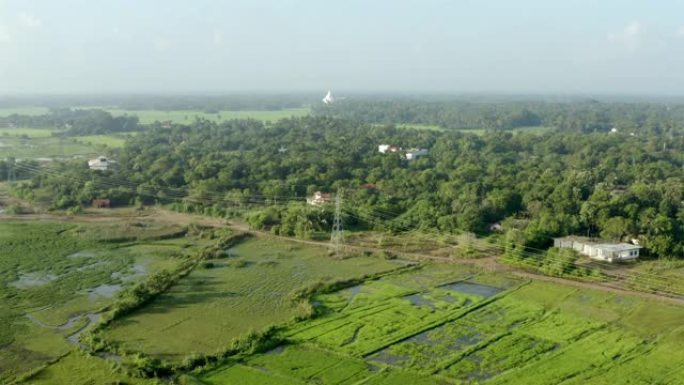 稻田和佛教寺庙: 斯里兰卡