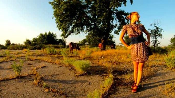 背景日落炎热的农村夏天，乡村牛仔女孩双手在腰带奶牛牧场上的姿势