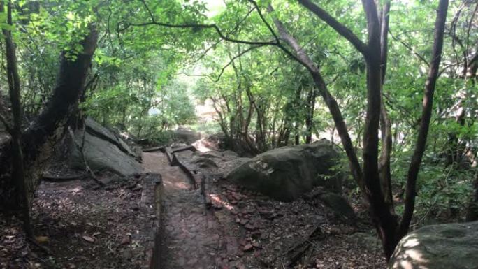 斯里兰卡锡吉里耶，树林中的一条废弃小路