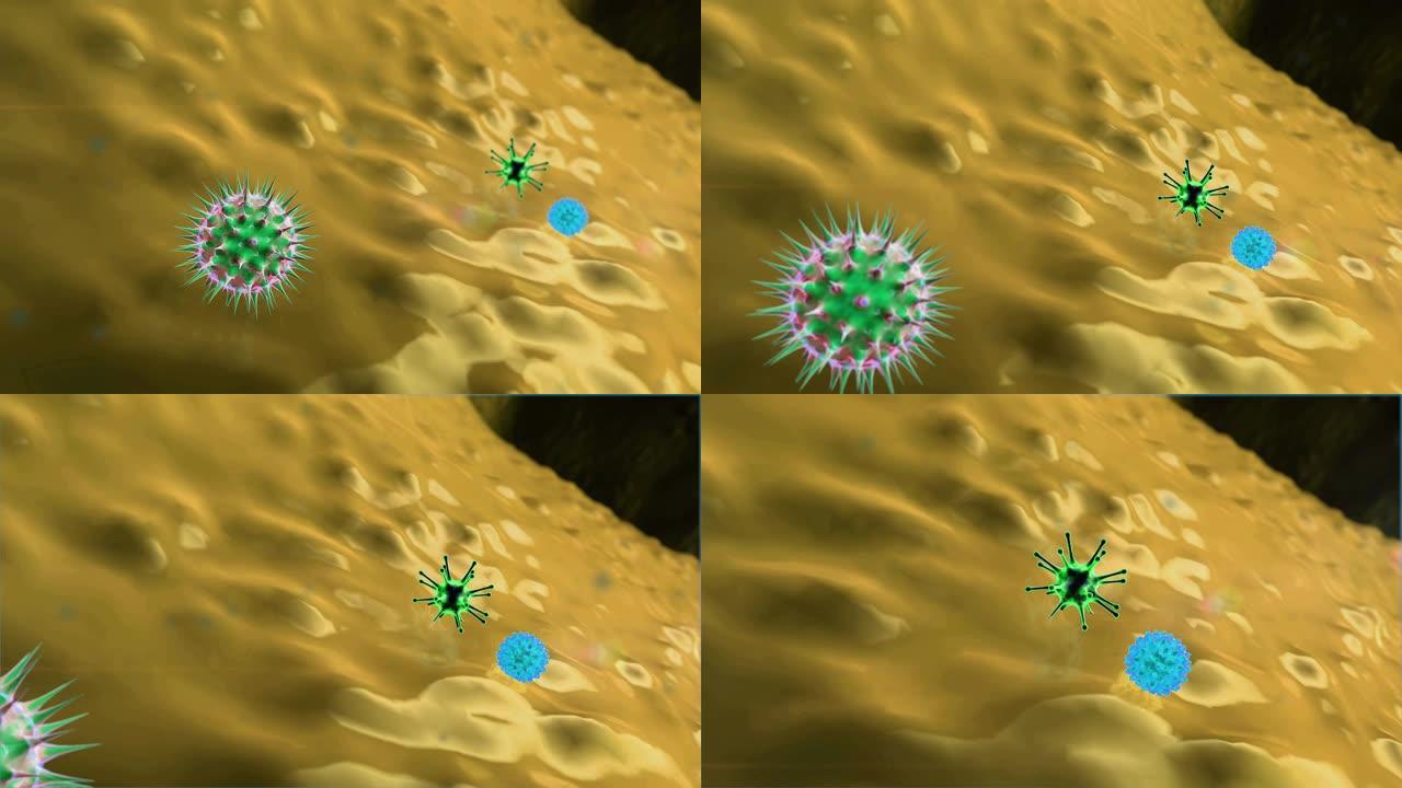 巨噬细胞和病毒,