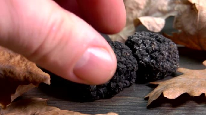 用橡树叶从木质表面取出黑松露蘑菇