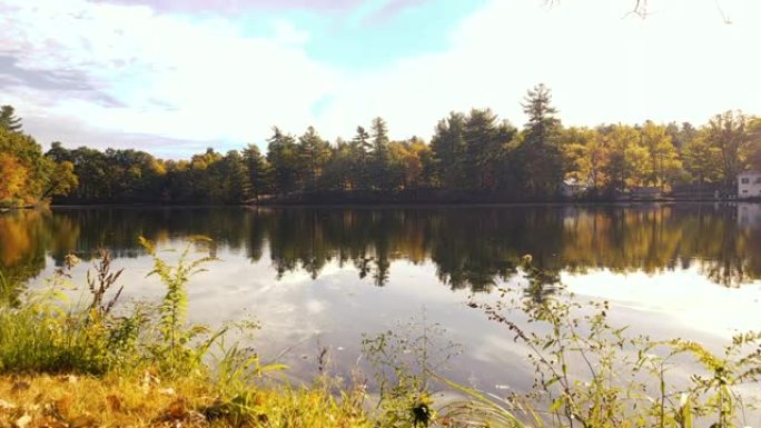 新英格兰湖-早晨湖泊湖水河流秋季秋天安静