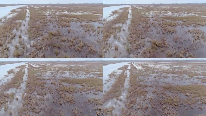 在与佐治亚州接壤的南卡罗来纳州废弃的重新种植的稻田上，沼泽的鸟瞰图，在地平线上可以看到萨凡纳的遥远景