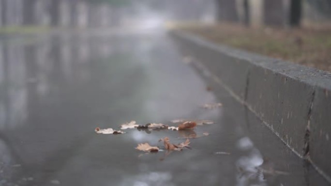 秋天在人行道上下雨后的小巷，树叶漂浮在水中