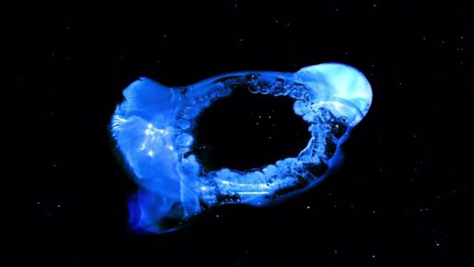 美国宇航局哈勃 “上帝之眼” 星云黑洞由墨水和油漆制成的星场宇宙背景