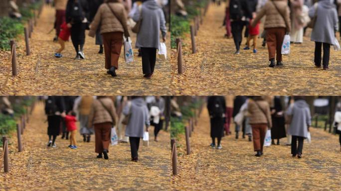 Walking people at the ginkgo street in Tokyo at au