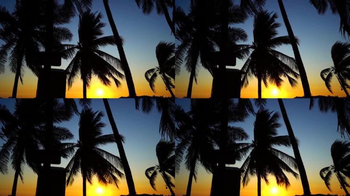 棕榈叶风吹拂的轮廓和美丽的天空日落自然的热带海滩，慢动作。