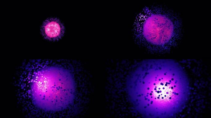 夜光点球的抽象动画。动画。黑色背景上旋转的和接近的bokeh斑点的圆形簇。圆点球类似于分子的结构