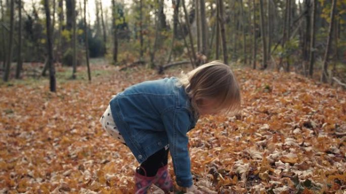 穿着牛仔夹克的珍贵金发小女孩捡起扔落叶堆