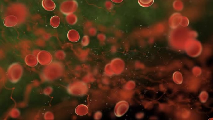 静脉中的3D红细胞。防病毒医疗保健概念。