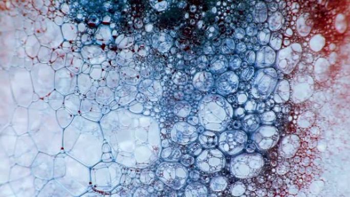 彩色肥皂泡沫与爆裂气泡背景。摘要生物结构，大分子模式。红色和蓝色墨水填充了大量在液体中形成的白色气泡