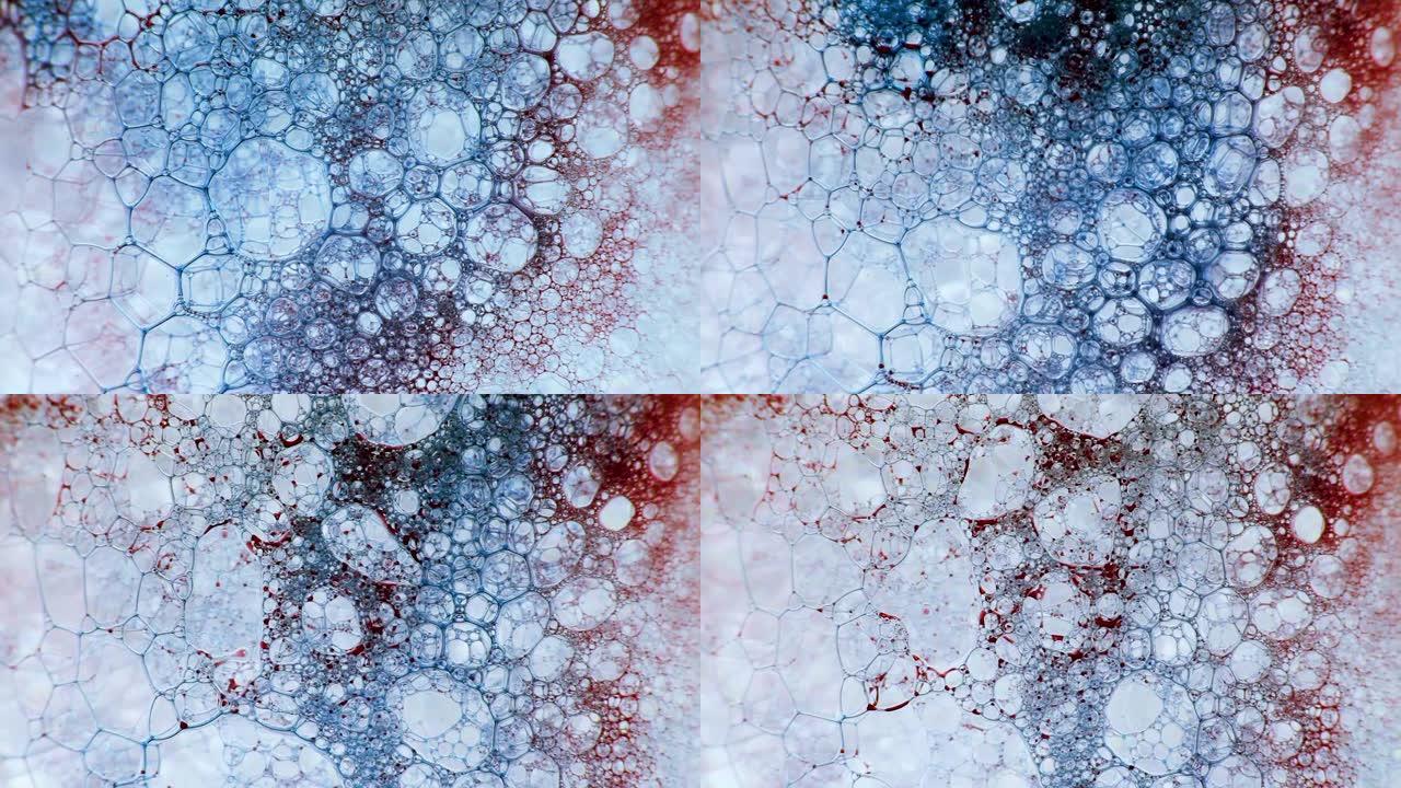 彩色肥皂泡沫与爆裂气泡背景。摘要生物结构，大分子模式。红色和蓝色墨水填充了大量在液体中形成的白色气泡