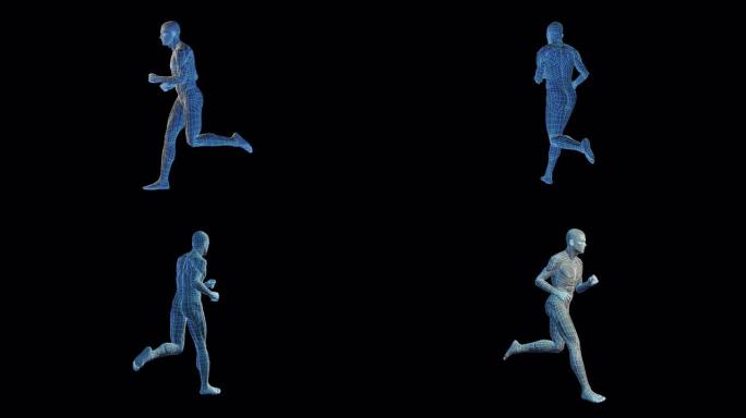 仿生技术3D人类跑步 (循环)