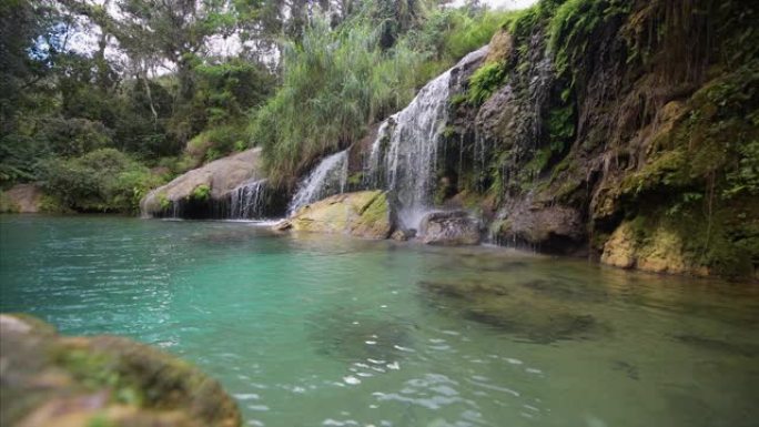 古巴西恩富戈斯省的自然小生公园