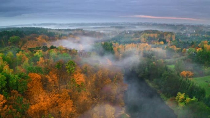 秋日雾江和五彩森林的鸟瞰图