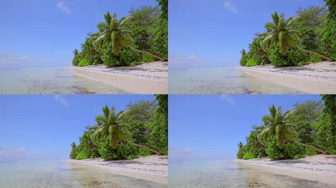 热带海滩Anse St. Sauveur与棕榈树俯瞰Praslin岛的海滩，花岗岩塞舌尔，印度洋群岛