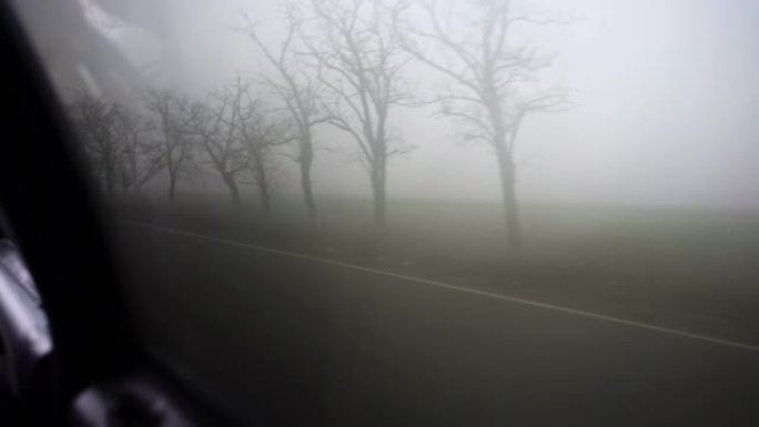 司机坐在有雾的路上。从乘客舱内部查看。