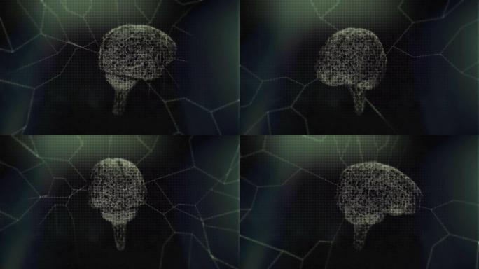 脑神经网络4K (循环)