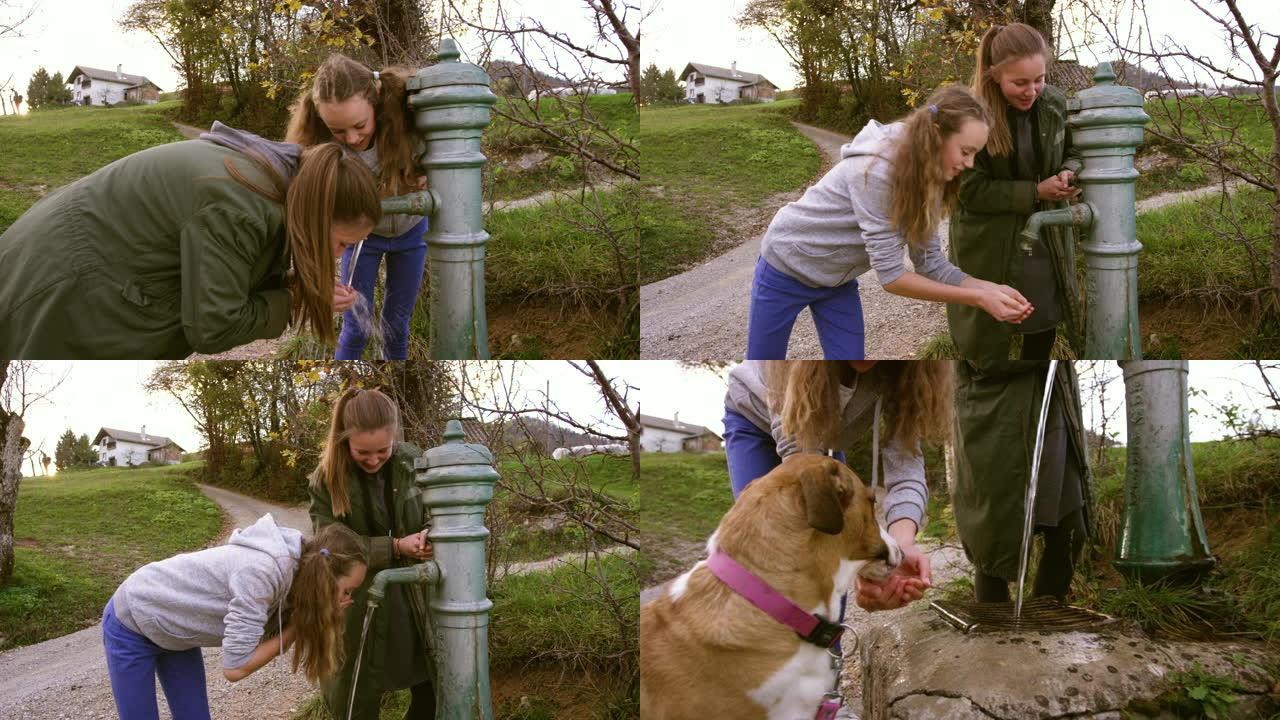 最好的朋友和狗从户外水管喝水