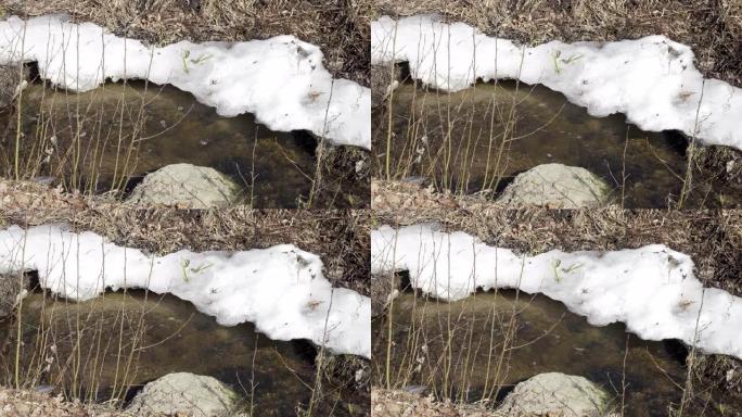 冰冻的河上融化的斑块。冰冻的冰河在春天融化，冰片流淌。春天时候在河上漂浮的碎冰。全球变暖，