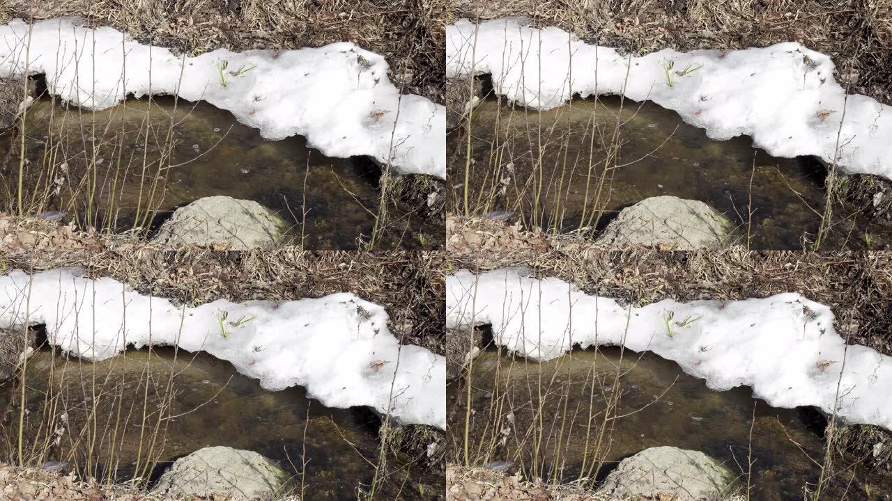 冰冻的河上融化的斑块。冰冻的冰河在春天融化，冰片流淌。春天时候在河上漂浮的碎冰。全球变暖，