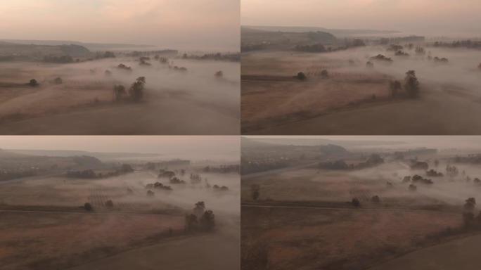 清晨，无人机拍摄了农田和河流上的雾