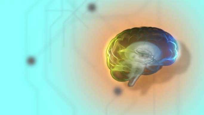 高功能的大脑处理光数字背景上透明球体内的信息。
