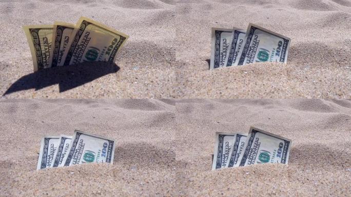 半被沙子覆盖的钱多拉斯躺在海滩特写镜头上。