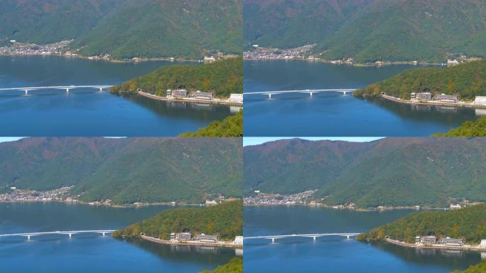 日本富士川口湖边树木的鸟瞰图