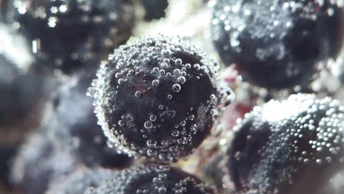 黑葡萄在水下关闭，气泡宏观选择性聚焦
