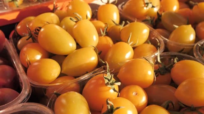 一组新鲜的黄色樱桃番茄在以色列的标记。耶路撒冷。小番茄收获。许多樱桃番茄。田野里的西红柿。特写