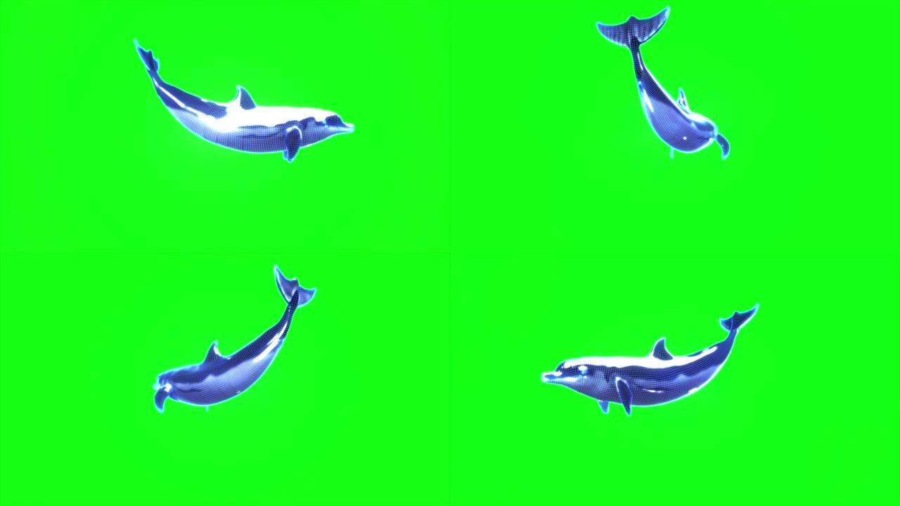 海豚动画，背景线框发光，3d渲染