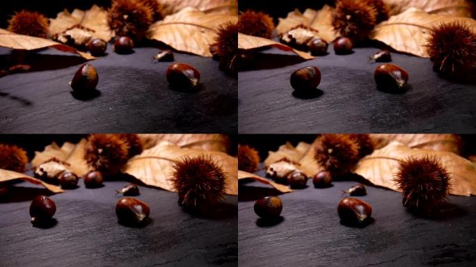 新鲜成熟栗子落在黑色表面上
