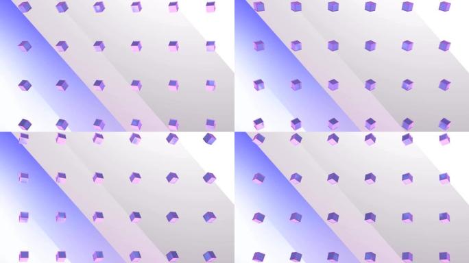 紫色背景下的正方形动画