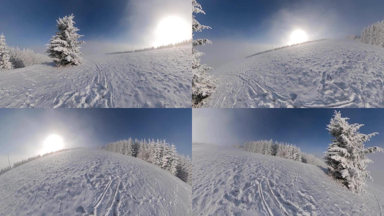 晴天冬季滑雪场和积雪覆盖的树木的全景